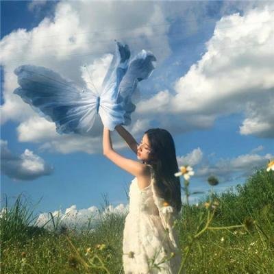碧血盐枭粤语