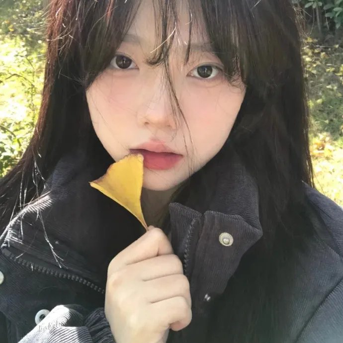 老友记